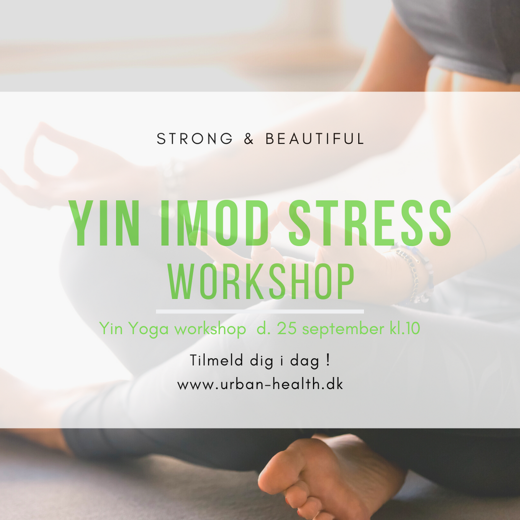 Yin imod Stress workshop